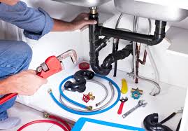 Best Garbage Disposal Repair and Installation  in Saw Creek, PA